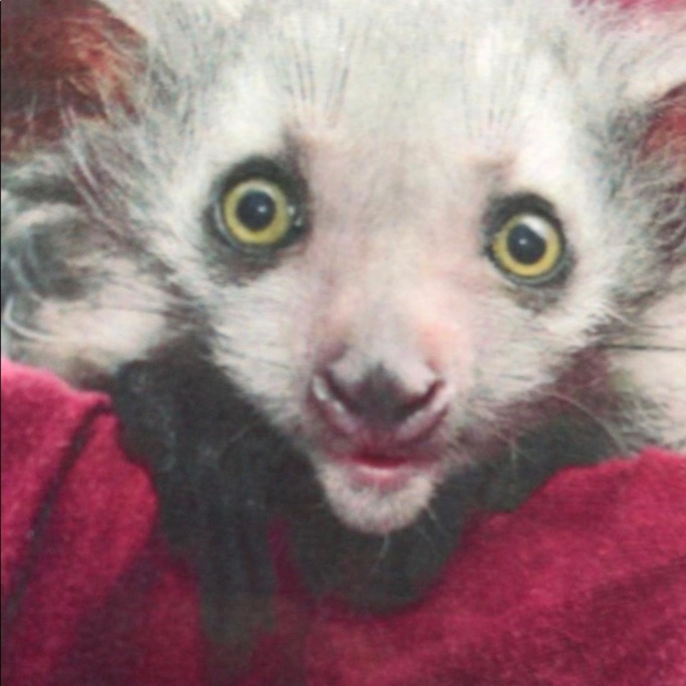 Meet your Posher, Christy